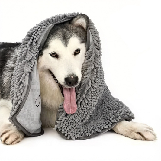 Serviette Absorbante